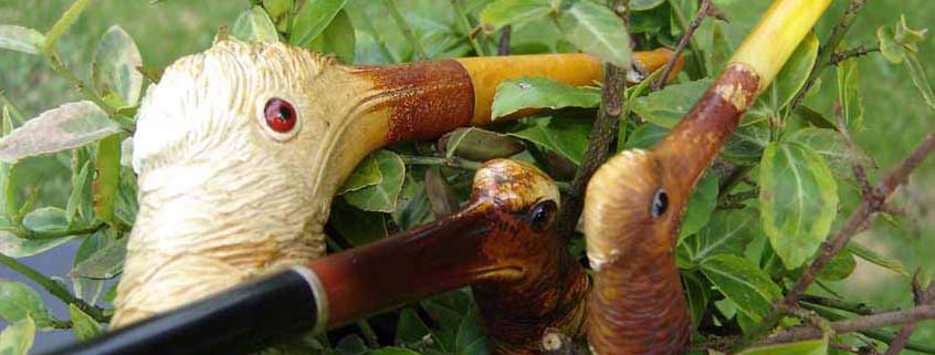 Meerschaum Birds